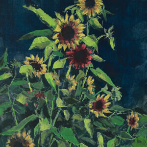 Słoneczniki Słoneczniki. Sunflowers